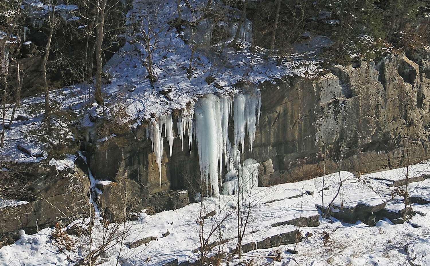 This seep along the river is probably just a trickle of water flowing out of the ledge during warmer weather. In cold weather, seeps form huge icicles that resemble stalactites in an underground cavern. They really start to form when the temperatures are in the teens or single digits. They can be found along many rock outcrops; also check streams that form waterfalls.